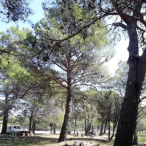  Apartment Eco Secluded Zabodarski